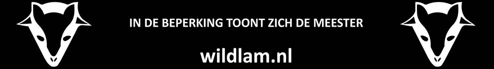 Sponsor